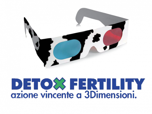 Detox Fertility