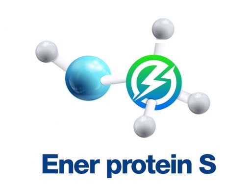 Ener Protein S