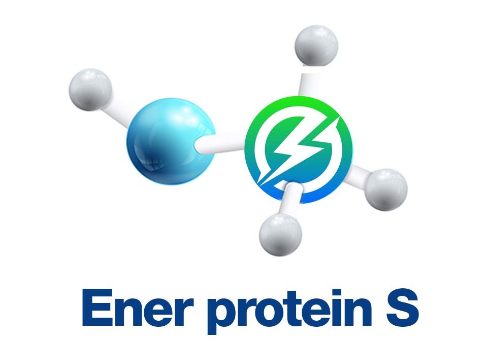 Ener Protein S