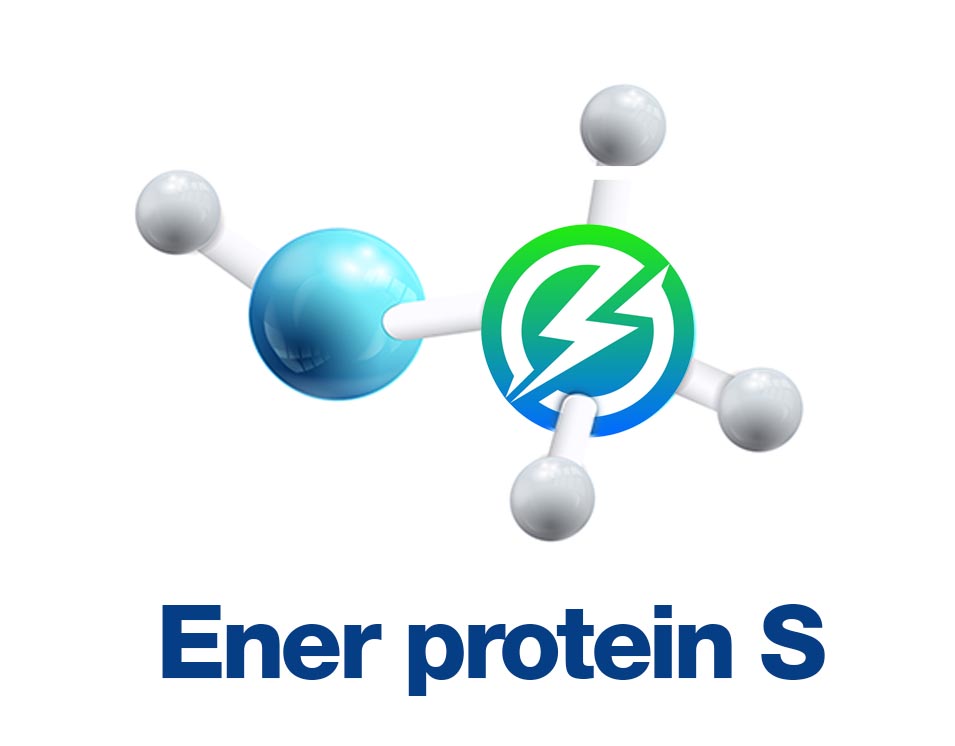 EnerProteinS portfolio