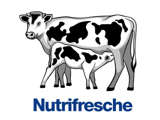 Nutrifresche