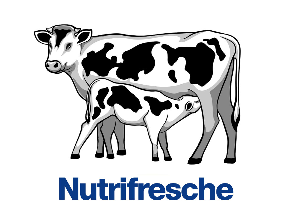 Nutriservice Nutrifresche portfolio