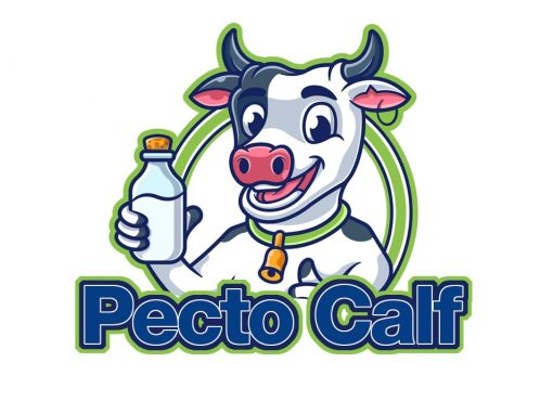 Pecto Calf