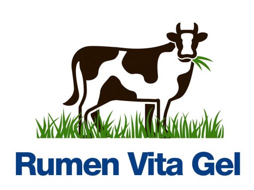 Rumen Vita Gel