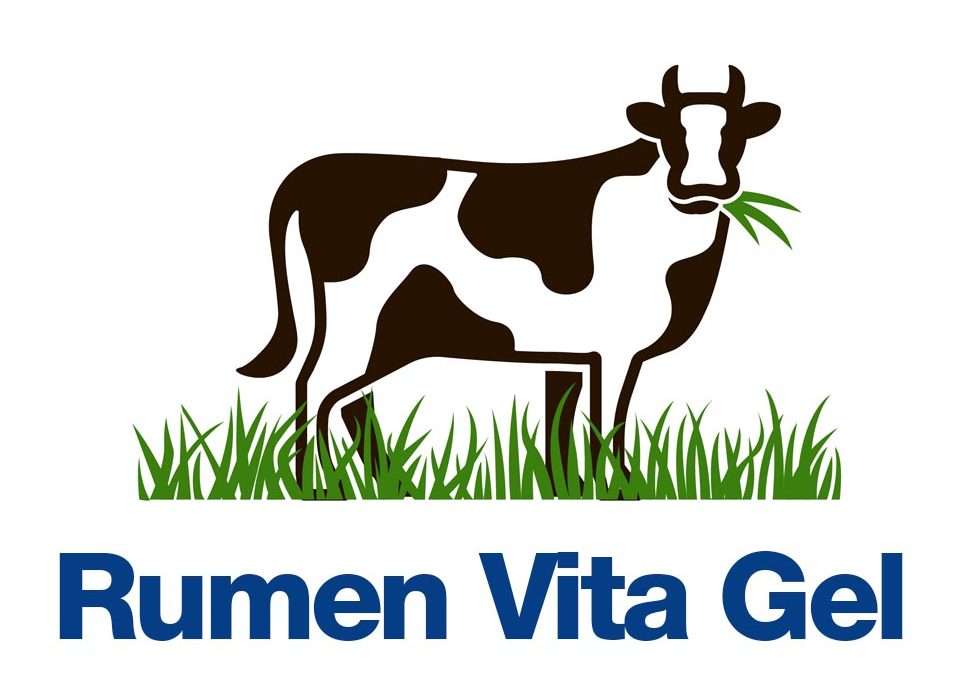 Rumen Vita Gel