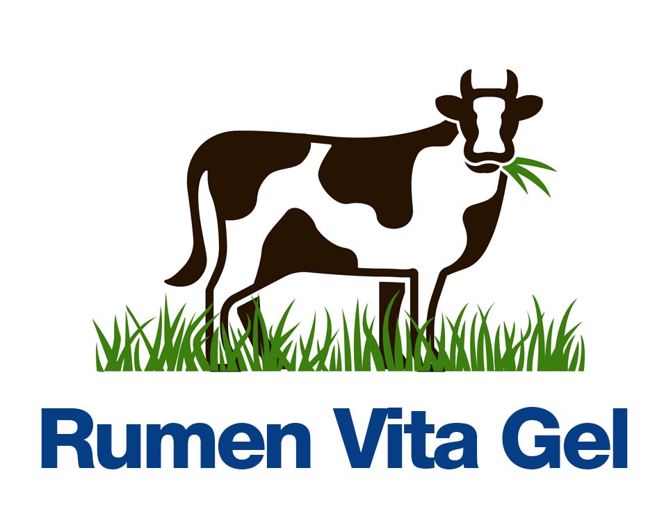 RumenVitaGel portfolio