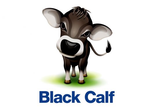 Black Calf