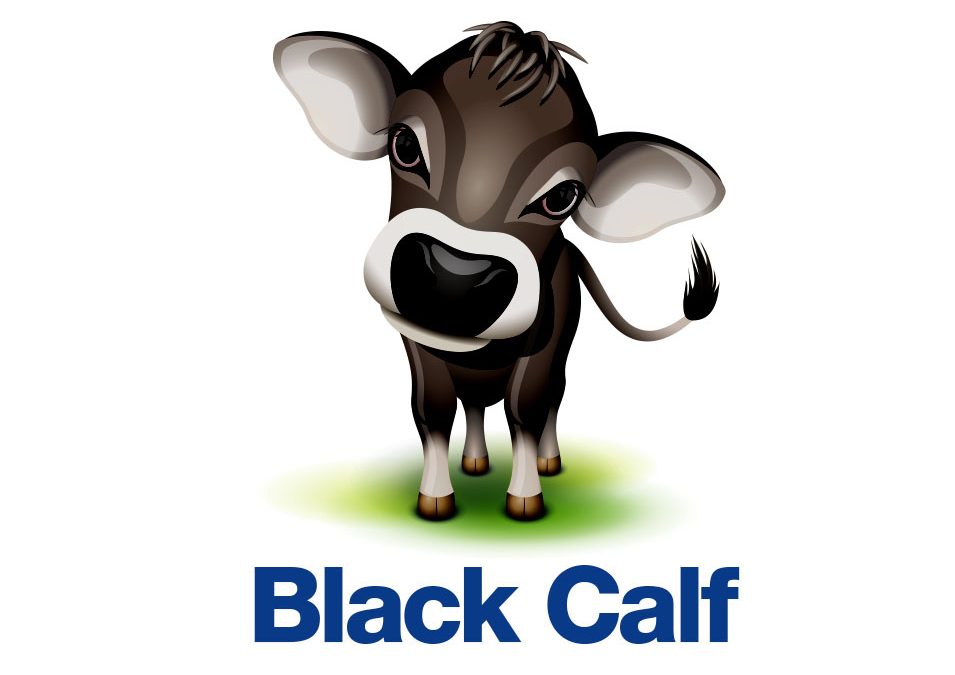 Black Calf